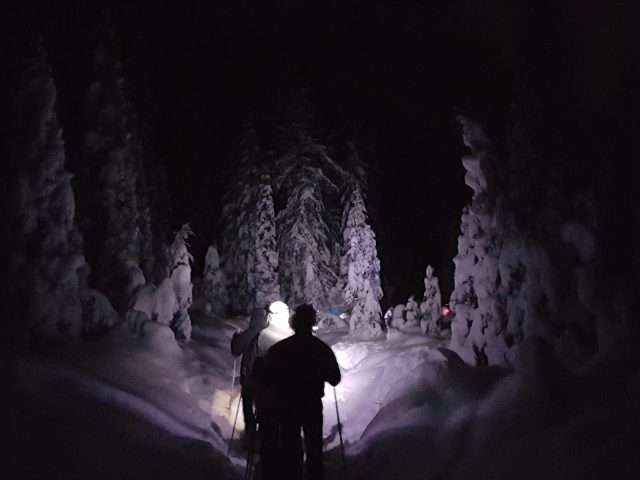 “Fairy Night” snowshoe evening excursion with dinner at a mountain hut